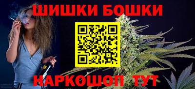 соль ск Можга