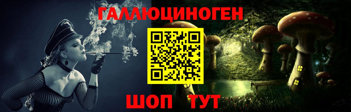 купить наркотик  Галлюциногенные грибы GOLDEN TEACHER  Дивногорск  Вход с VPN  Псилоцибиновые грибы Cubensis 
